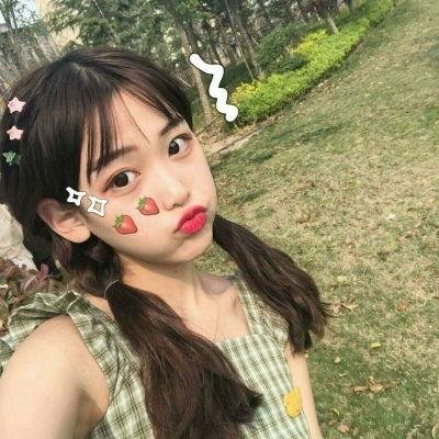 堪萨斯小猫